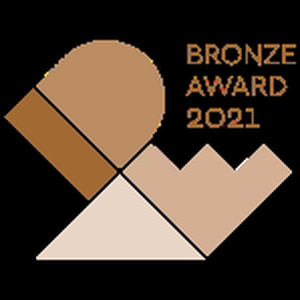 BRONZE AWARD